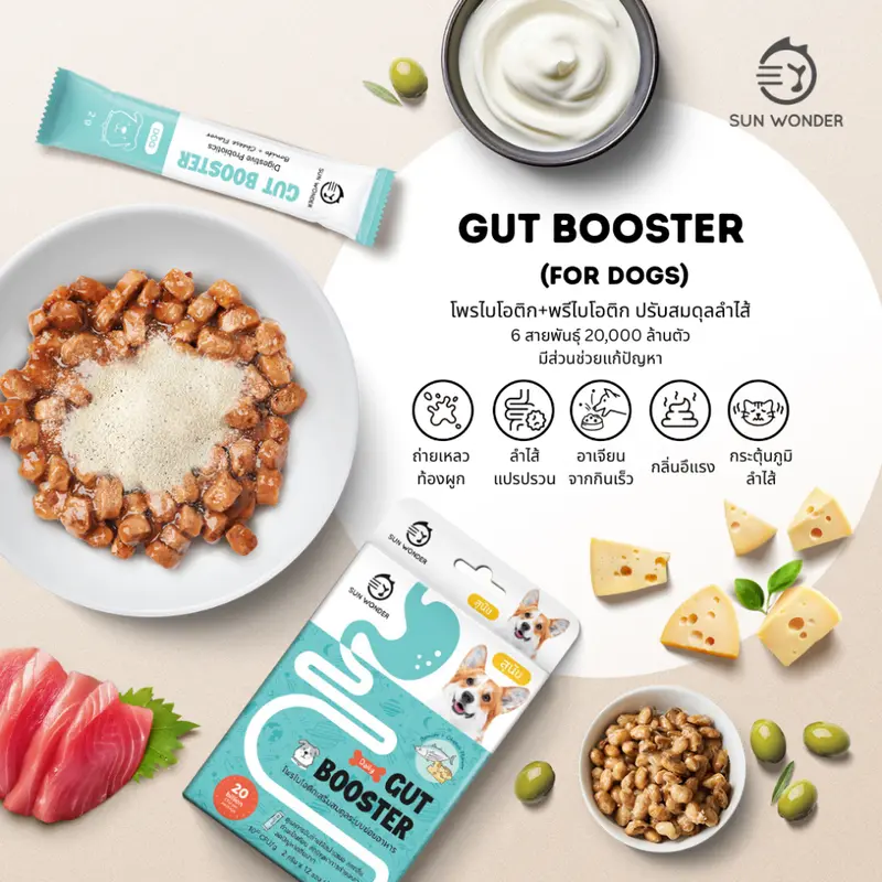 (1 กล่อง/12 ซอง) SUN WONDER GUT BOOSTER อาหารเสริมโพรไบโอติกเสริมสมดุลระบบย่อยอาหาร สูตรสำหรับสุนัข - ภาพที่ 3