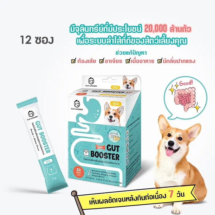 (1 กล่อง/12 ซอง) SUN WONDER GUT BOOSTER อาหารเสริมโพรไบโอติกเสริมสมดุลระบบย่อยอาหาร สูตรสำหรับสุนัข - ภาพที่ 4