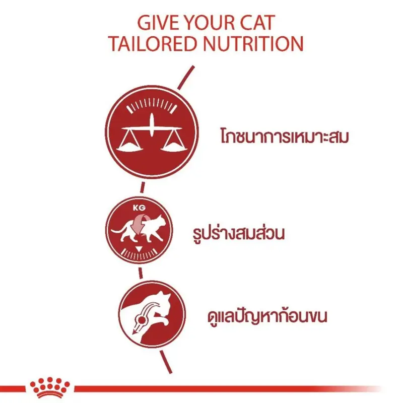อาหารแมวโต1-7 ปี รอยัลคานิล ควบคุมน้ำหนัก ดูแลก้อนขน ((แบบแบ่งขาย)) Royal Canin Fit - ภาพที่ 6
