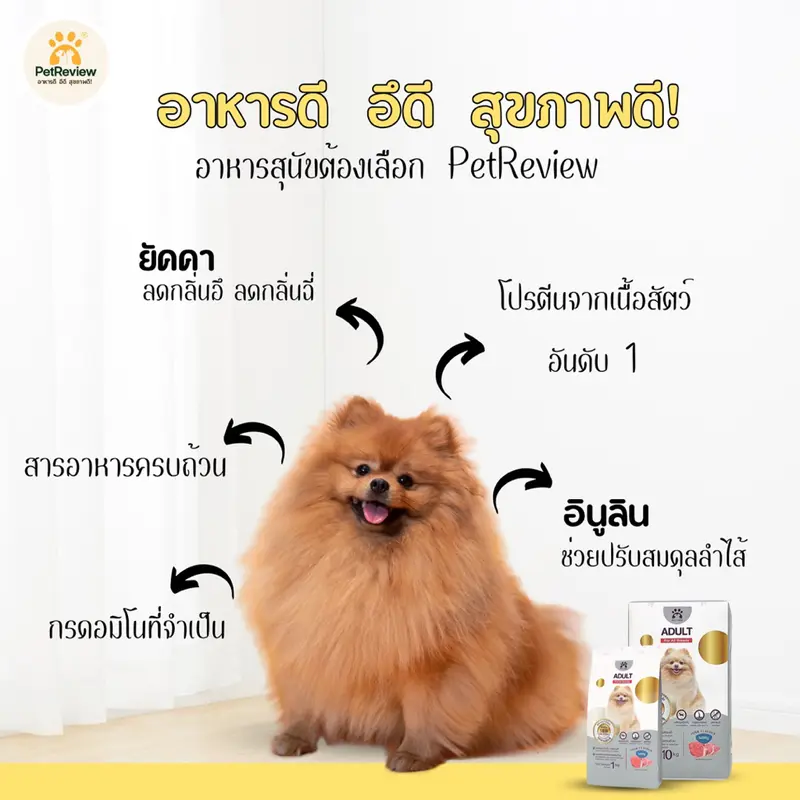 อาหารสุนัขสูตรหมู 10 Kg (เม็ดเล็ก) - ภาพที่ 4