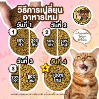 (10 KG.)(FT76) CattyCat Smile M อาหารเม็ดแมวโต รสปลาทูและซีฟู๊ด โปรตีน 26% ดีต่อระบบประสาทตา (10 KG.)(FT76) CattyCat Smile M อาหารเม็ดแมวโต รสปลาทูและซีฟู๊ด โปรตีน 26% ดีต่อระบบประสาทตา - ภาพที่ 4