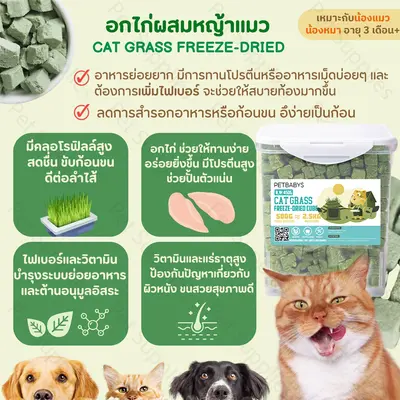 ขนมแมว อกไก่ฟรีซดราย ขนมฟรีซดรายแมว ฟรีซดรายแมว สุนัข… - ภาพที่ 4
