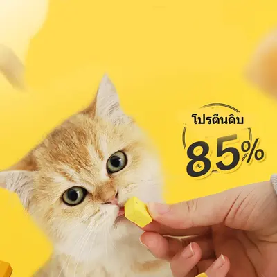อกไก่ฟรีซดราย 100%ฟู้ดเกรด ขนมแมว ฟรีซดรายแมว… - ภาพที่ 6