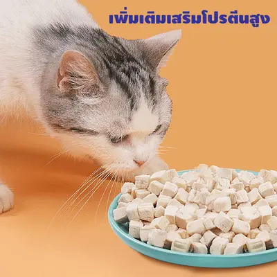 อกไก่ฟรีซดราย ขนมแมว อกไก่แมว ขนมแมวฟรีซดราย อกไก่… - ภาพที่ 4