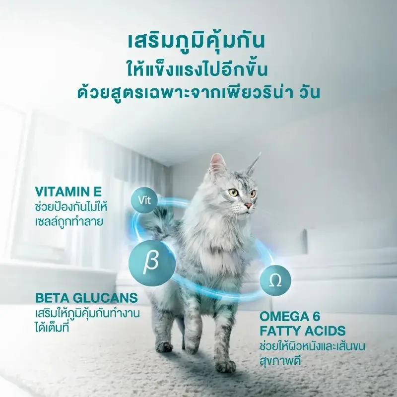 ถูกที่สุด 100 ถุงเท่านั้น ! PURINA ONE อาหารเม็ดแมวสูตร ซุปเปอร์พรีเมี่ยม เหมาะกับแมวในแต่ละช่วงวัย ขนาด 2.7 Kg. - ภาพที่ 3