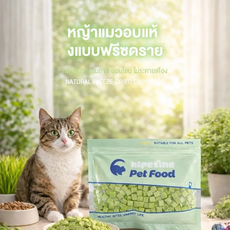 😺หญ้าแมวฟรีซดราย 100g ช่วยขับก้อนขน บำรุงระบบย่อย อาหารเสริมแมวธรรมชาติ - ภาพที่ 3