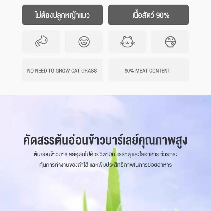 😺หญ้าแมวฟรีซดราย 100g ช่วยขับก้อนขน บำรุงระบบย่อย อาหารเสริมแมวธรรมชาติ - ภาพที่ 5