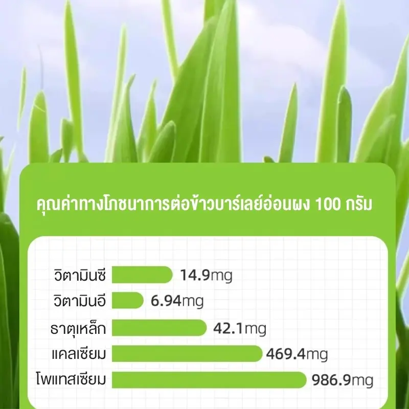 😺หญ้าแมวฟรีซดราย 100g ช่วยขับก้อนขน บำรุงระบบย่อย อาหารเสริมแมวธรรมชาติ - ภาพที่ 6