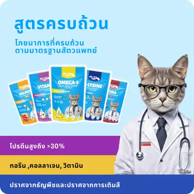 MR.VET อาหารแมวเปียก ขนาด… - ภาพที่ 3