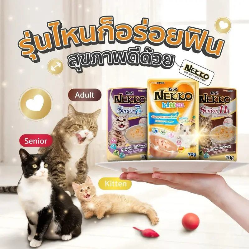[12 ซอง] Nekko เน็กโกะ อาหารเปียกแมว คละได้ แมวโต ลูกแมว ไม่เติมเกลือ ขนาด 70g - ภาพที่ 5