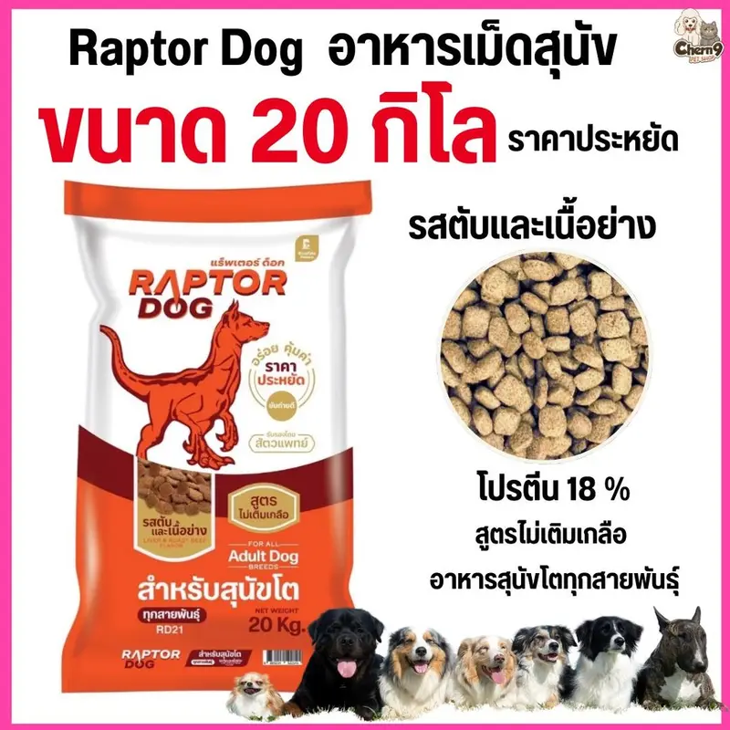 [[ ขนาด 20 KG ]] แร๊พเตอร์ด๊อก Raptor Dog อาหารสุนัขโต ไม่เติมเกลือ ขนาด 20 KG - ภาพที่ 4