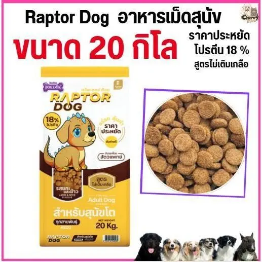 [[ ขนาด 20 KG ]] แร๊พเตอร์ด๊อก Raptor Dog อาหารสุนัขโต ไม่เติมเกลือ ขนาด 20 KG - ภาพที่ 5