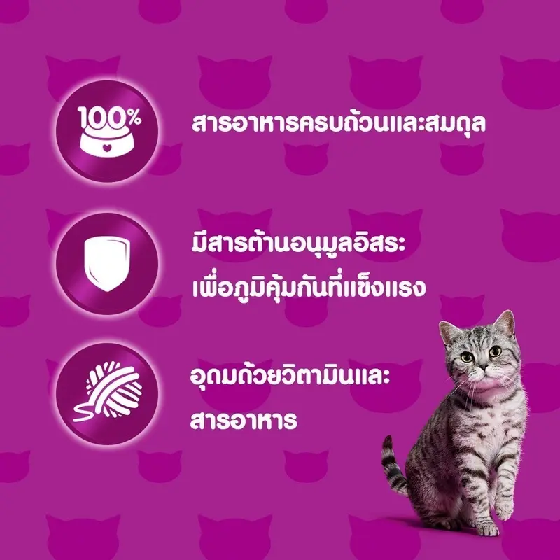 [24 ฟรี 4] WHISKAS วิสกัส อาหารเปียกแมว แมวโต ลูกแมว แมวสูงวัย เลือกรสชาติได้ 80ก. - ภาพที่ 6
