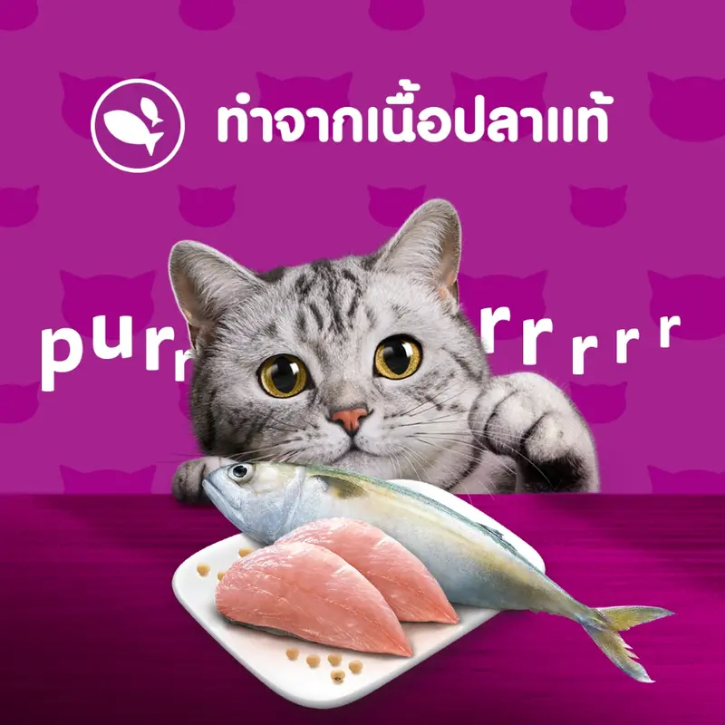 WHISKAS วิสกัส อาหารเปียกแมว ลูกแมว แมวโต แมวสูงวัย เลือกรสชาติได้ 80ก - ภาพที่ 5
