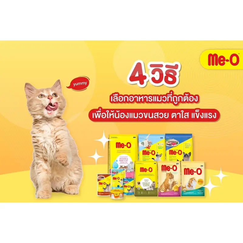 Me-O อาหารเปียกแมวมีโอ ส่งทุกวัน… - ภาพที่ 3