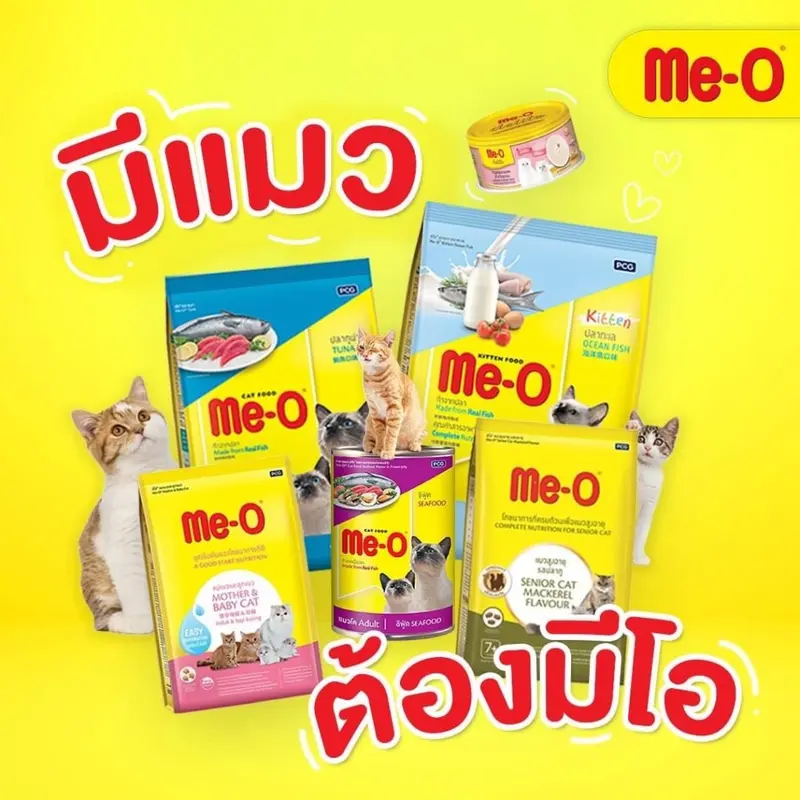 Me-O อาหารเปียกแมวมีโอ ส่งทุกวัน… - ภาพที่ 4