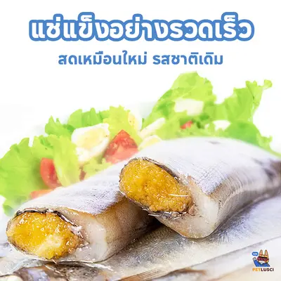 ขนมแมว ปลาแห้ง โปรตีนสูง ไม่เค็ม… - ภาพที่ 5
