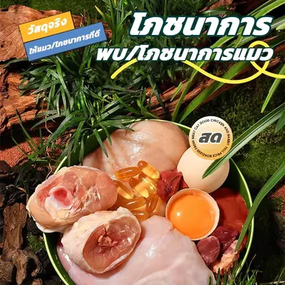 ขนมแมว 50/100ชิ้น 3รส ขนมแมวเลีย แถบแมว cat snacks… - ภาพที่ 3