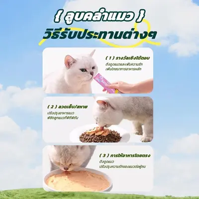 ขนมแมว 50/100ชิ้น 3รส ขนมแมวเลีย แถบแมว cat snacks… - ภาพที่ 6