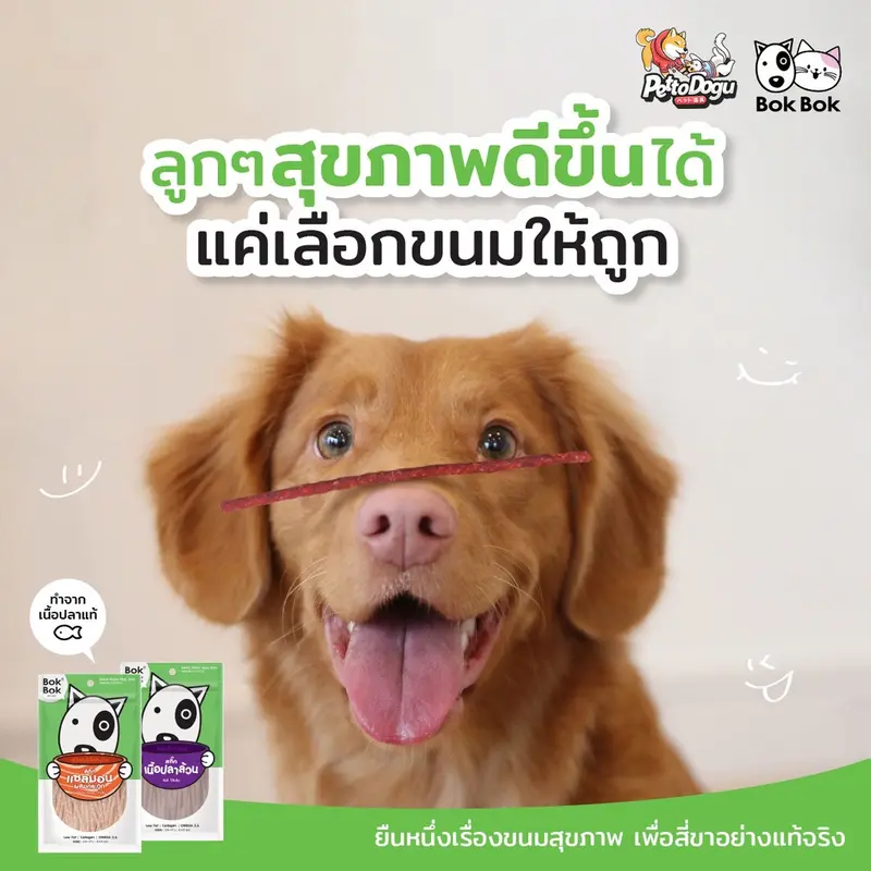 สติ๊กปลา 50 กรัม BokBok ขนมสุนัข ทำจากเนื้อปลา… - ภาพที่ 4