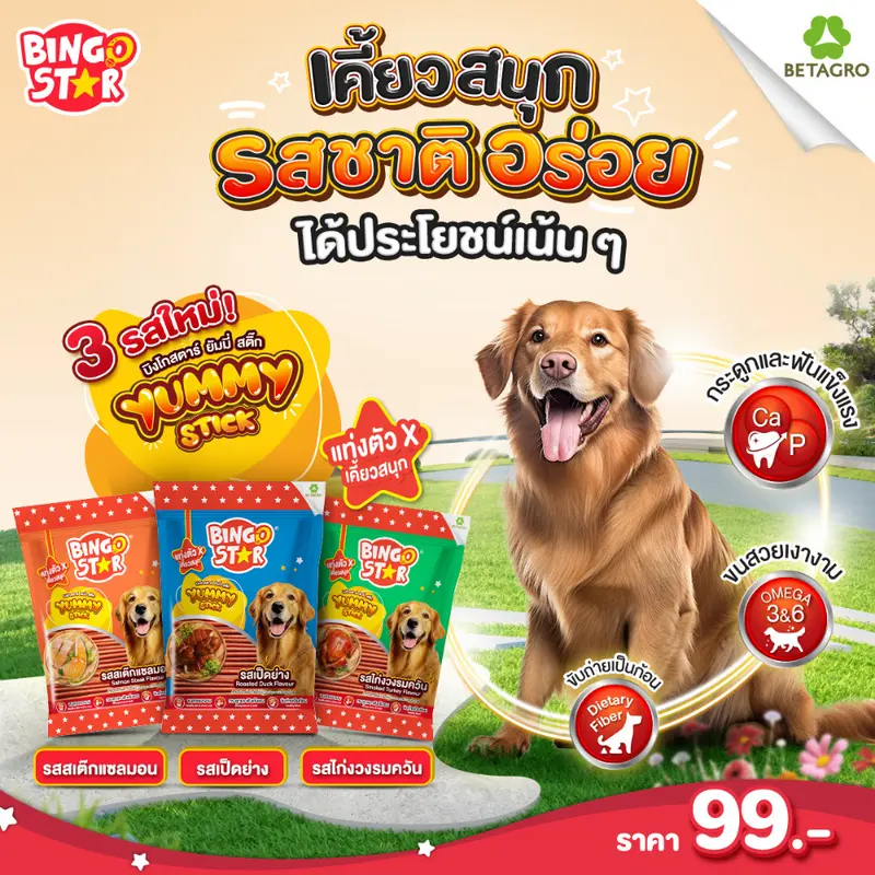 ขนมสุนัข Bingo Star Yummy Stick บิงโกสตาร์ยัมมี่สติ๊ก แบบแท่ง หยิบป้อนง่าย มีลายรสชาติ - ภาพที่ 4