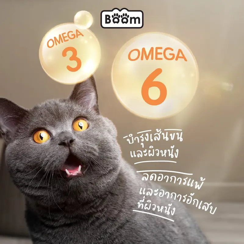 Boom อาหารแมว รสทูน่า เสริมภูมิคุ้มกัน ไม่เค็ม สำหรับแมวอายุ 1 ปีขึ้นไป 7 KG - ภาพที่ 5