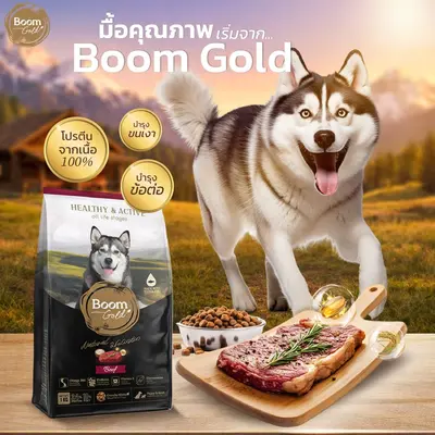 Boom Gold อาหารสุนัข รสเนื้อวัว 10 KG เกรดพรีเมียม… - ภาพที่ 3