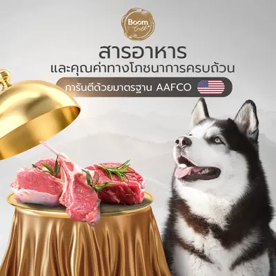 Boom Gold อาหารสุนัข รสเนื้อวัว 10 KG เกรดพรีเมียม… - ภาพที่ 4