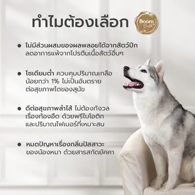 Boom Gold อาหารสุนัข รสเนื้อวัว 10 KG เกรดพรีเมียม… - ภาพที่ 6