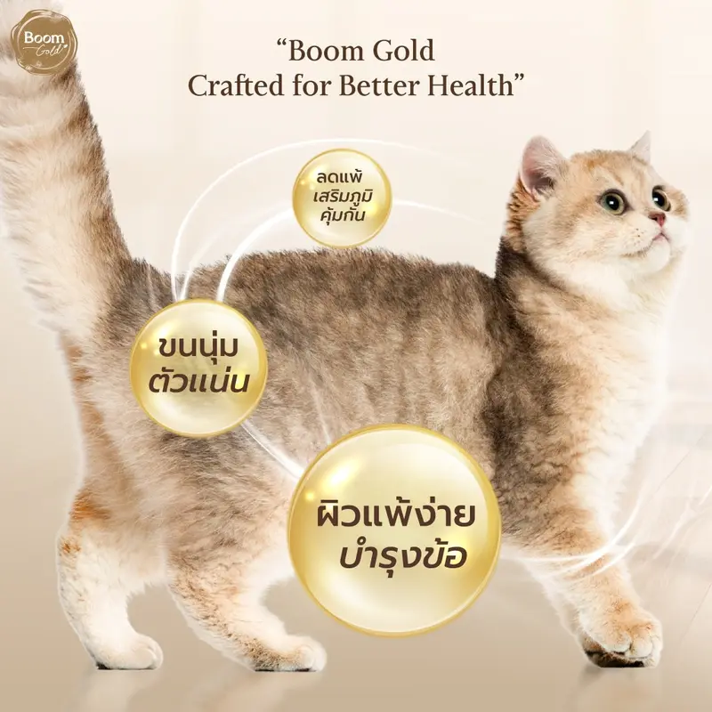 Boom Gold อาหารแมว รสแกะ 7 Kg พรีเมียมเกรดจากเนื้อสัตว์แท้ แหล่งโปรตีนคุณภาพสูง บำรุงขน - ภาพที่ 4