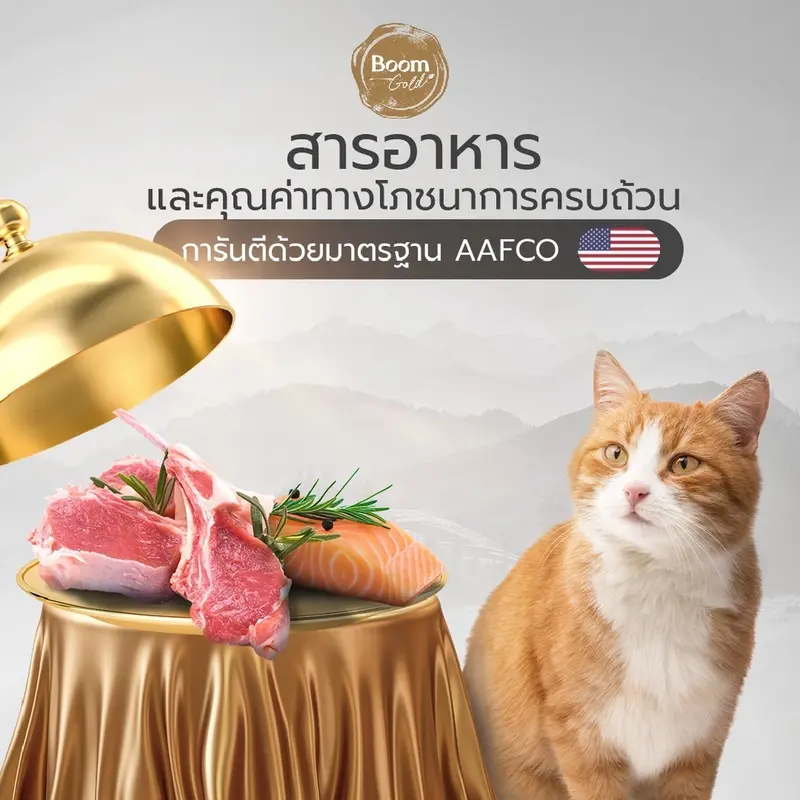 Boom Gold อาหารแมว รสแกะ 7 Kg พรีเมียมเกรดจากเนื้อสัตว์แท้ แหล่งโปรตีนคุณภาพสูง บำรุงขน - ภาพที่ 5