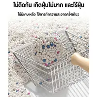 C-Alpha ทรายแมว 5L กลิ่นลาเวนเดอร์/กลิ่นกาแฟ จับตัวเป็นก้อนเร็ว ฝุ่นน้อย ดับกลิ่นดี ทรายแมวเบนโทไนท์ ส่งฟรี C-Alpha ทรายแมว 5L กลิ่นลาเวนเดอร์/กลิ่นกาแฟ จับตัวเป็นก้อนเร็ว ฝุ่นน้อย ดับกลิ่นดี ทรายแมวเบนโทไนท์ ส่งฟรี - ภาพที่ 5