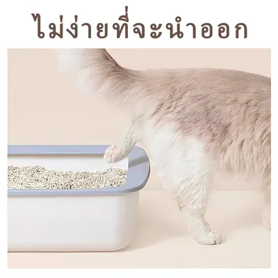 ทรายแมวเต้าหู้ 2KG/6L ผลิตจากกากถั่วเหลืองธรรมชาติทราย… - ภาพที่ 5