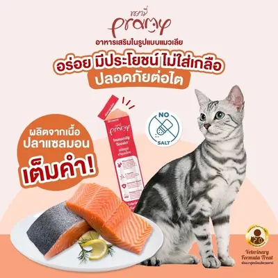 10 ซอง/20 ซอง/ยกกล่อง Pramy ขนมแมวเลีย บำรุงสุขภาพ… - ภาพที่ 4