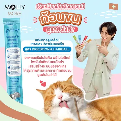 MOLLY Pramy Creamy Treat พรามี่ ครีมมี่ ทรีตส์… - ภาพที่ 3