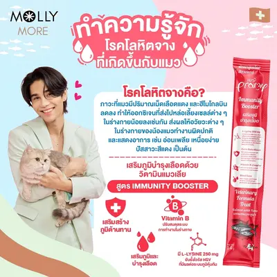 MOLLY Pramy Creamy Treat พรามี่ ครีมมี่ ทรีตส์… - ภาพที่ 4