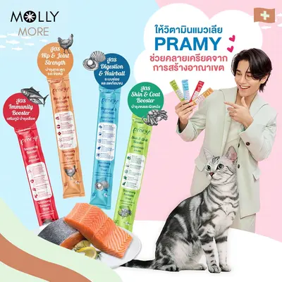 MOLLY Pramy Creamy Treat พรามี่ ครีมมี่ ทรีตส์… - ภาพที่ 5
