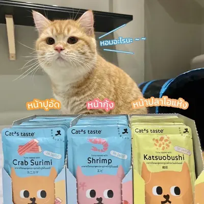 อาหารเปียกแมว Cat’s Taste 1 กล่อง - ภาพที่ 4