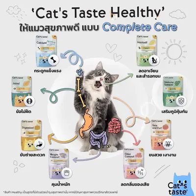 อาหารเปียกแมว Cat’s Taste 1 กล่อง - ภาพที่ 5