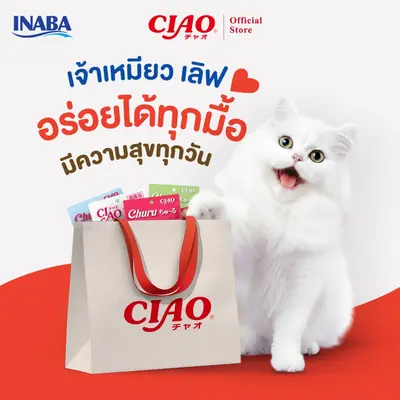 CIAO ชูหรุ ขนมแมวเลีย 14 กรัม x 50 ชิ้น/กระปุก (1… - ภาพที่ 6