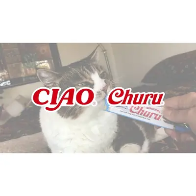 Ciao Churu เชา ชูรู ขนมแมวเลีย ครีมแมวเลีย… - ภาพที่ 5