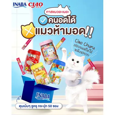 CIAO Chi-ru เชา ขนมแมวเลีย เชาว์… - ภาพที่ 3