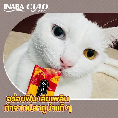 CIAO Chi-ru เชา ขนมแมวเลีย เชาว์… - ภาพที่ 6