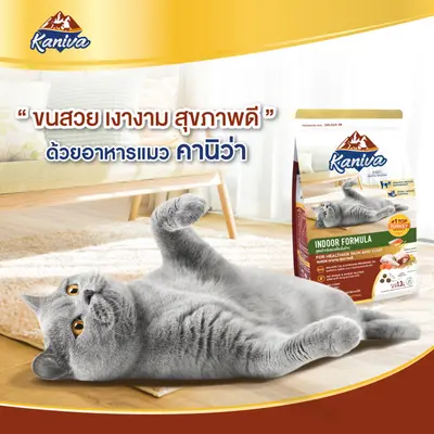 Kaniva Indoor สูตรแมวเลี้ยงภายในบ้าน 4… - ภาพที่ 3