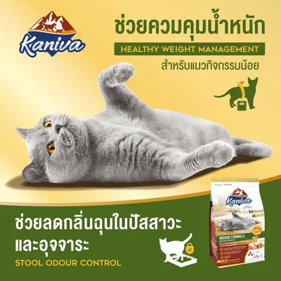 Kaniva Indoor สูตรแมวเลี้ยงภายในบ้าน 4… - ภาพที่ 4
