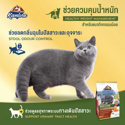 Kaniva Indoor สูตรแมวเลี้ยงภายในบ้าน 4… - ภาพที่ 6