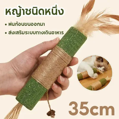38cmอันใหญ่มาก ไม้มาทาทาบิ ขัดฟันไม้ ไม้ขัดฟันแมว… - ภาพที่ 6