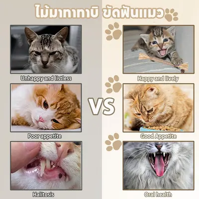 ไม้มาทาทาบิ ขัดฟันแมว 38/22cm ลดคราบหินปูน ขัดฟันแมว… - ภาพที่ 6