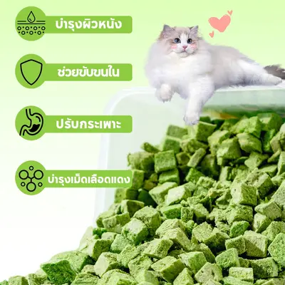 CODหญ้าแมวฟรีซดราย 600 กรัม ผสมอกไก่แท้ โปรตีนสูง… - ภาพที่ 4