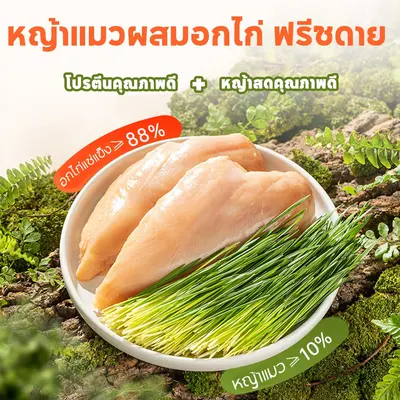 CODหญ้าแมวฟรีซดราย 600 กรัม ผสมอกไก่แท้ โปรตีนสูง… - ภาพที่ 5